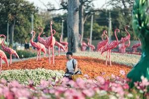 BIB: 
                            <button type="button" onclick="openModal(27344193)" class="btn btn-primary btn-sm float-right btn-popup" data-toggle="modal" data-target=".modal-high-quality">
                        <i class="fas fa-shopping-cart"></i> Add to Cart
                    </button>
                                            <button type="button" onclick="isThisMe(27344193, true)" class="btn btn-success btn-sm float-right btn-popup btn-isme hidden" data-toggle="tooltip" data-placement="bottom" title="นี่คือรูปของคุณใช่ไหม คลิกที่นี่เพื่อเอาเข้าอัลบั้ม">
                        <i class="fas fa-plus"></i> Add to album
                    </button>
                    <button type="button" onclick="isThisMe(27344193, false)" class="btn btn-warning btn-sm float-right btn-popup btn-isnotme hidden">
                        <i class="fas fa-ban"></i> Remove from album
                    </button>